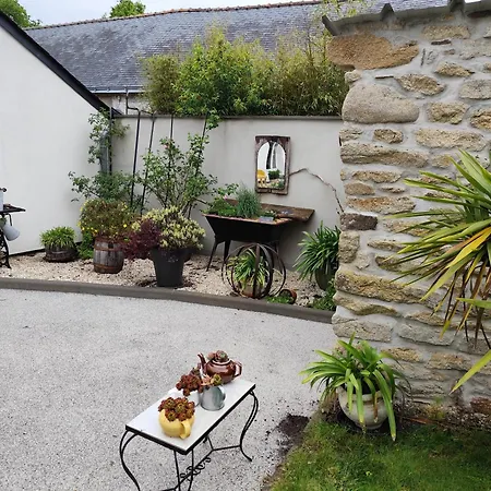 Les Agapanthes Lavau-sur-Loire