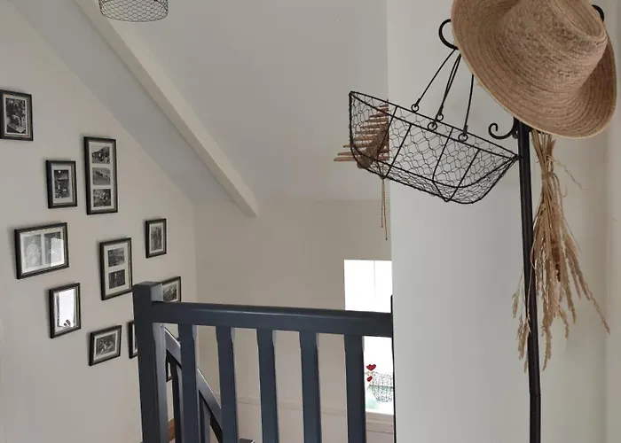 Les Agapanthes * Lavau-sur-Loire