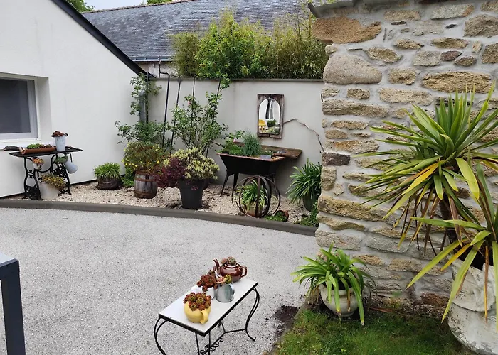 Les Agapanthes Lavau-sur-Loire